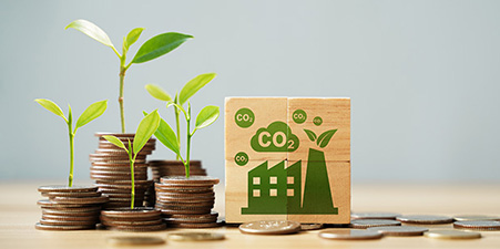 Carbon Credit Management