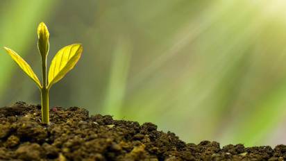 Why Carbon Credit Management Is a Strategic Win for UK Businesses